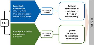 Impact of the treatment crossover design on comparative efficacy in EMPOWER-Lung 1: Cemiplimab monotherapy as first-line treatment of advanced non-small cell lung cancer